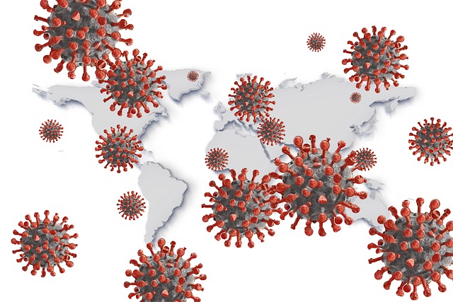 koronaviry a svět